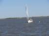 pic175_small.jpg